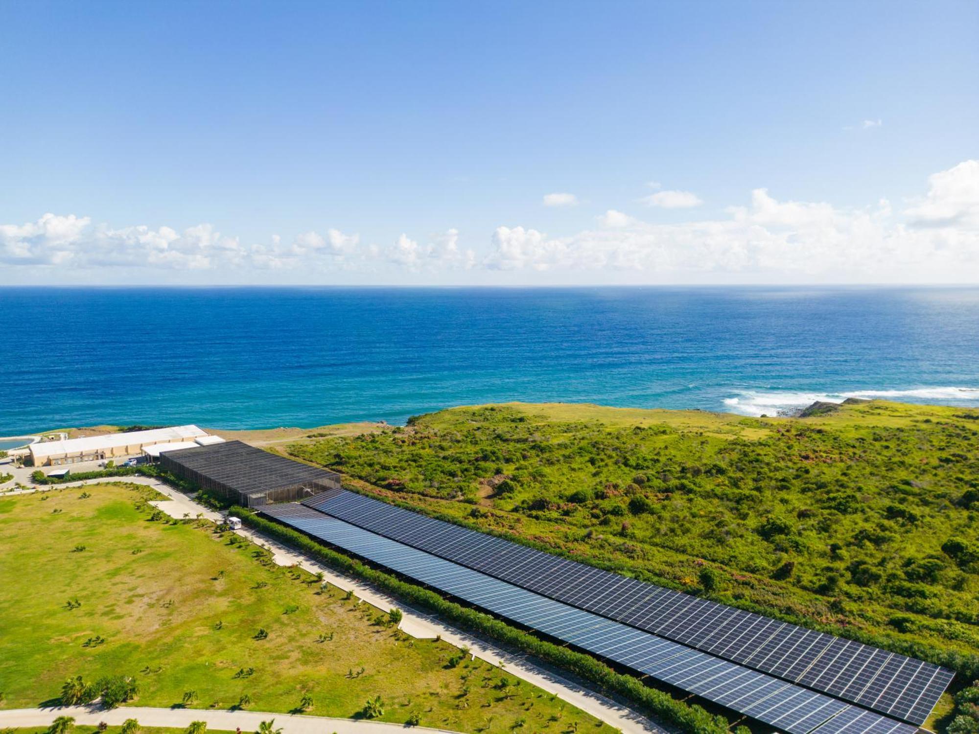 אורנייסטט Golden Rock Dive And Nature Resort מראה חיצוני תמונה